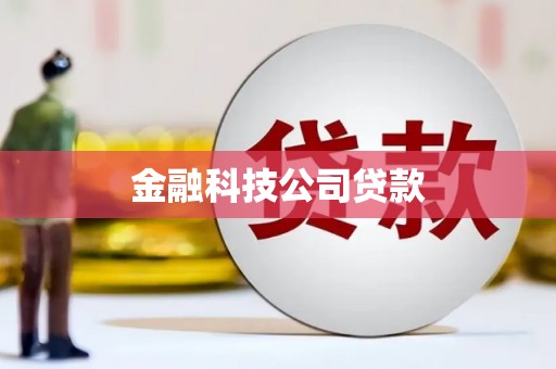 中西金融科技公司贷款