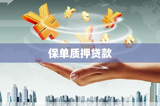 中西保单质押贷款
