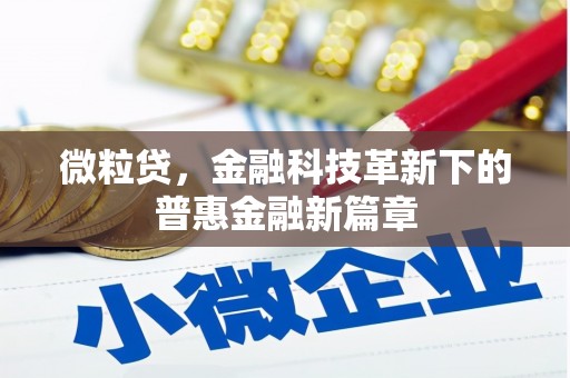 中西微粒贷，金融科技革新下的普惠金融新篇章