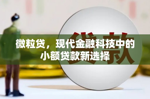 中西微粒贷，现代金融科技中的小额贷款新选择