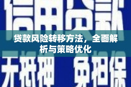 中西贷款风险转移方法，全面解析与策略优化