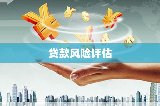 中西贷款风险评估