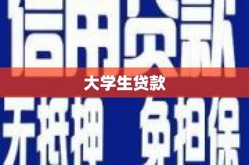 中西大学生贷款