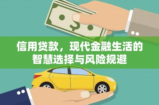 中西信用贷款，现代金融生活的智慧选择与风险规避