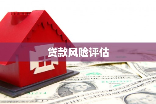 中西贷款风险评估