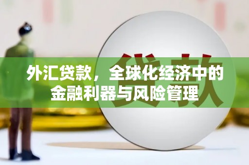 中西外汇贷款，全球化经济中的金融利器与风险管理