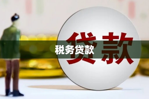 中西税务贷款