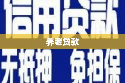 中西养老贷款