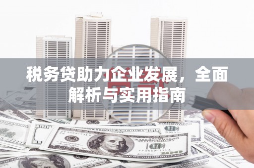 中西税务贷助力企业发展，全面解析与实用指南