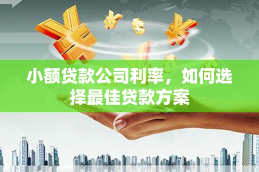 中西小额贷款公司利率，如何选择最佳贷款方案