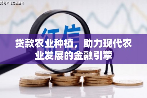 中西贷款农业种植，助力现代农业发展的金融引擎