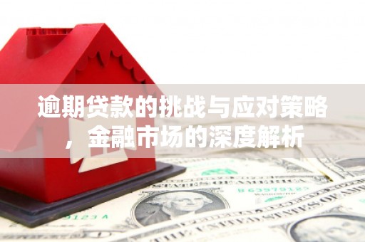 中西逾期贷款的挑战与应对策略，金融市场的深度解析