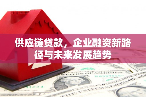 中西供应链贷款，企业融资新路径与未来发展趋势