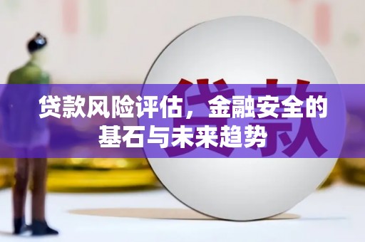 中西贷款风险评估，金融安全的基石与未来趋势