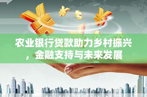 中西农业银行贷款助力乡村振兴，金融支持与未来发展