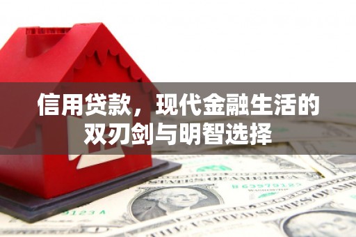 中西信用贷款，现代金融生活的双刃剑与明智选择