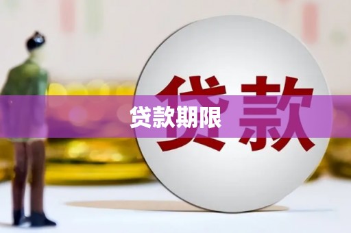 中西贷款期限