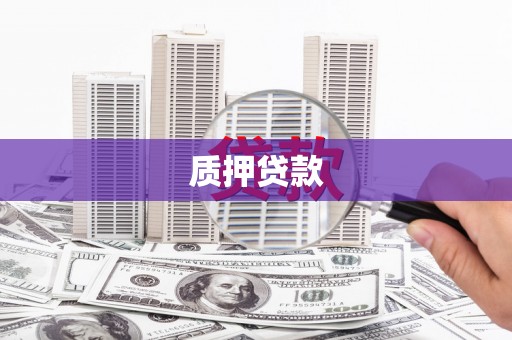 中西质押贷款