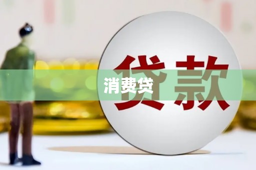 中西消费贷