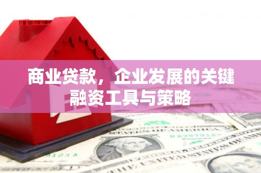 中西商业贷款，企业发展的关键融资工具与策略