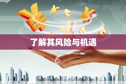 中西了解其风险与机遇