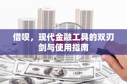 中西借呗，现代金融工具的双刃剑与使用指南