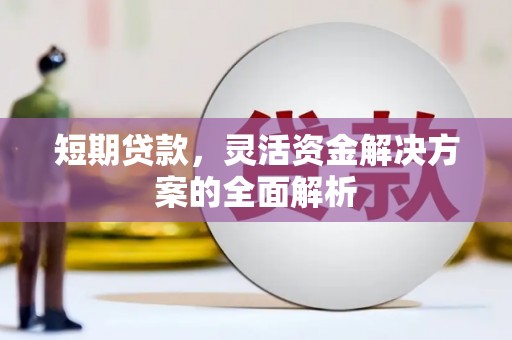 中西短期贷款，灵活资金解决方案的全面解析