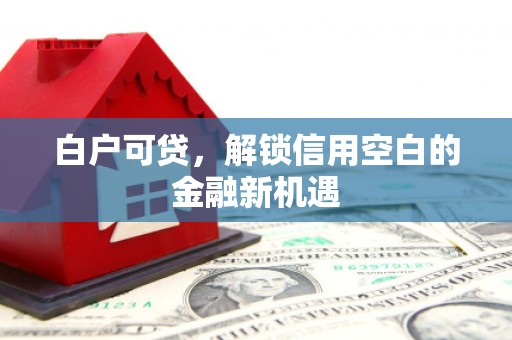 中西白户可贷，解锁信用空白的金融新机遇