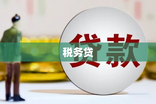 中西税务贷