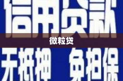 中西微粒贷