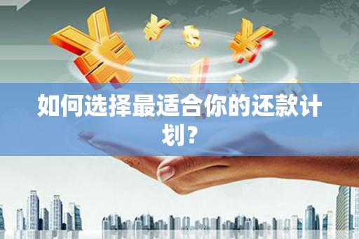 中西如何选择最适合你的还款计划？