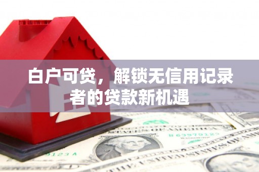 中西白户可贷，解锁无信用记录者的贷款新机遇