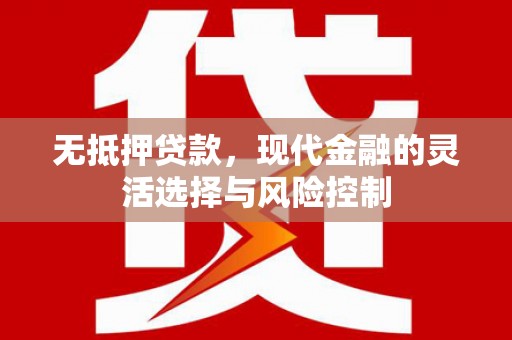 中西无抵押贷款，现代金融的灵活选择与风险控制