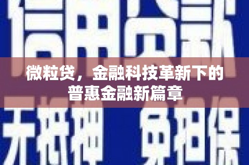 中西微粒贷，金融科技革新下的普惠金融新篇章