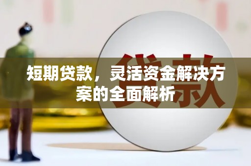 中西短期贷款，灵活资金解决方案的全面解析