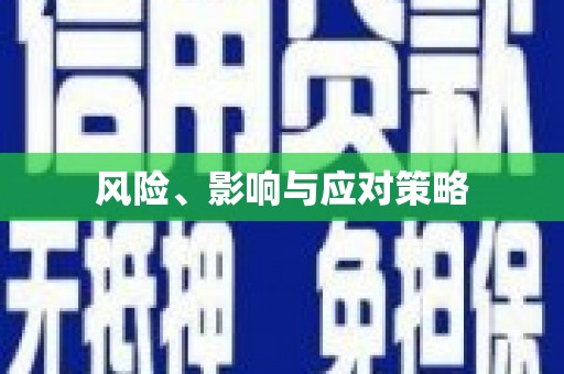 中西风险、影响与应对策略