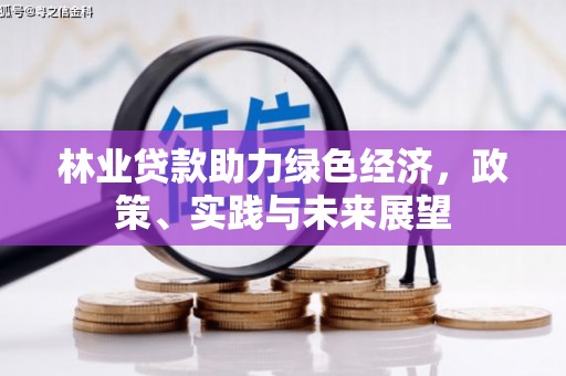 中西林业贷款助力绿色经济，政策、实践与未来展望