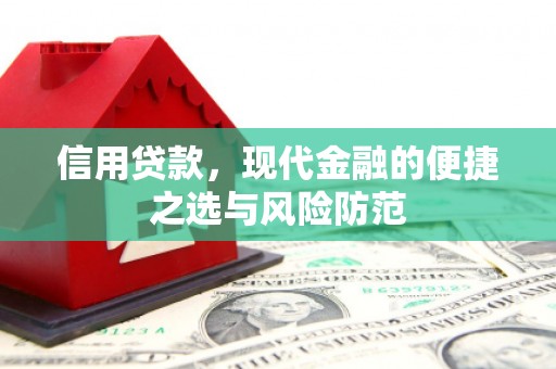 中西信用贷款，现代金融的便捷之选与风险防范
