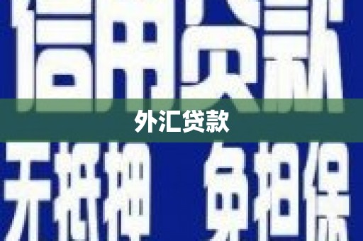 中西外汇贷款