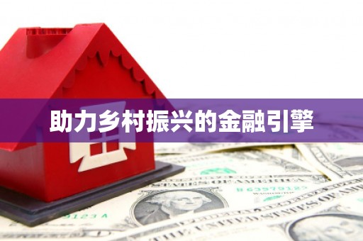 中西助力乡村振兴的金融引擎