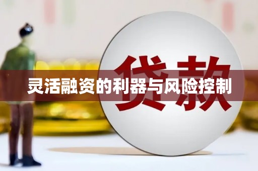 中西灵活融资的利器与风险控制