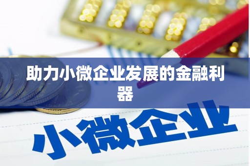 中西助力小微企业发展的金融利器