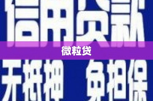中西微粒贷