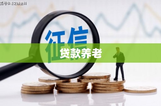中西贷款养老
