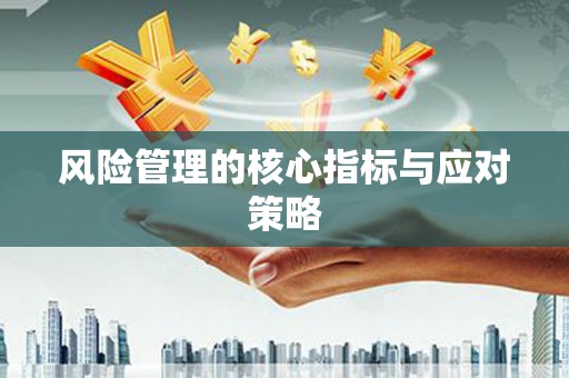 中西风险管理的核心指标与应对策略