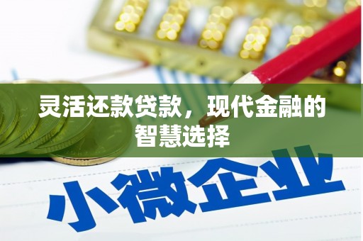中西灵活还款贷款，现代金融的智慧选择