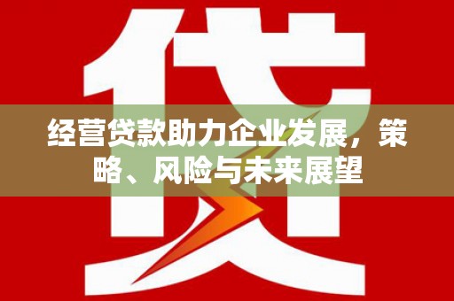 中西经营贷款助力企业发展，策略、风险与未来展望