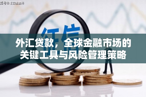 中西外汇贷款，全球金融市场的关键工具与风险管理策略