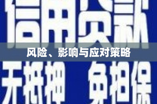 中西风险、影响与应对策略