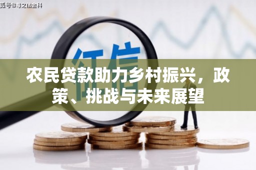 中西农民贷款助力乡村振兴，政策、挑战与未来展望